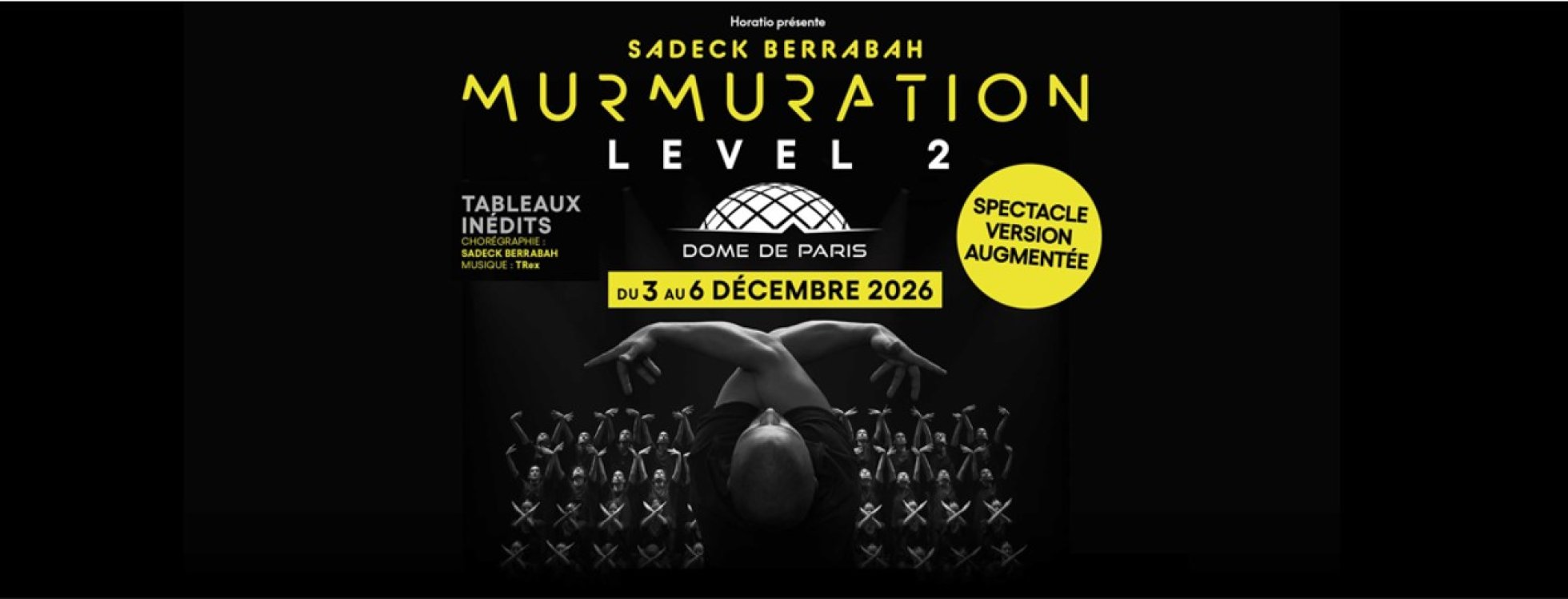 dome de paris : MURMURATION