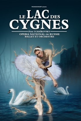 LE LAC DES CYGNES